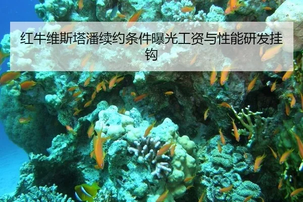 红牛维斯塔潘续约条件曝光工资与性能研发挂钩