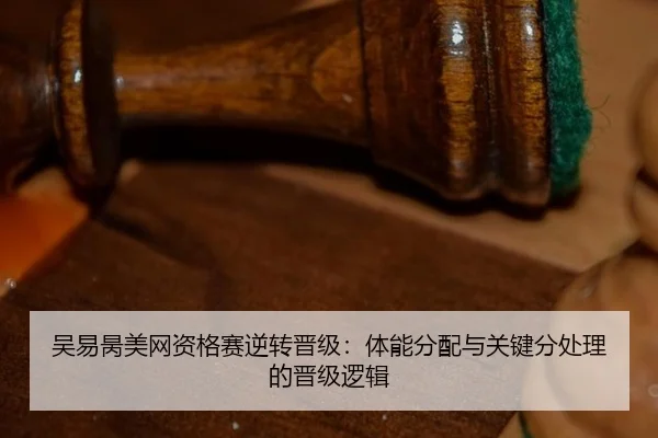 wu-yi-bing-mei-wang-zi-ge-sai-ni-zhuan-jin-ji-ti-neng-fen-pei-yu-guan-jian-fen-chu-li-de-jin-ji-luo-ji-2-504.jpg